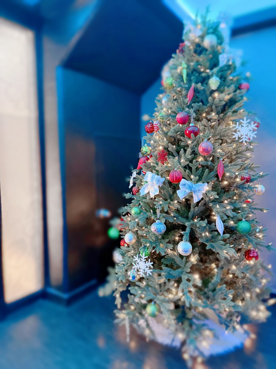 アップロード画像