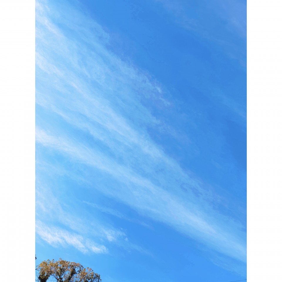 アップロード画像