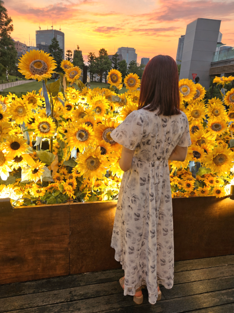 写メ