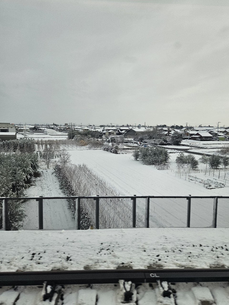 アップロード画像