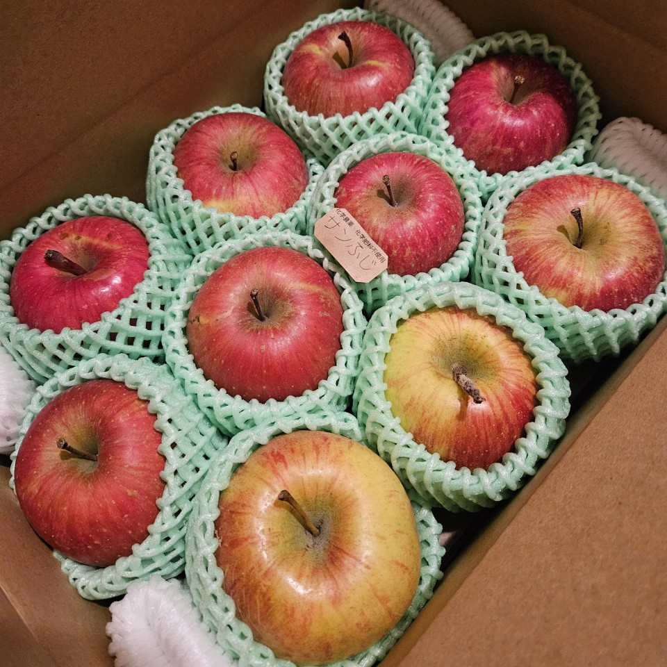 アップロード画像