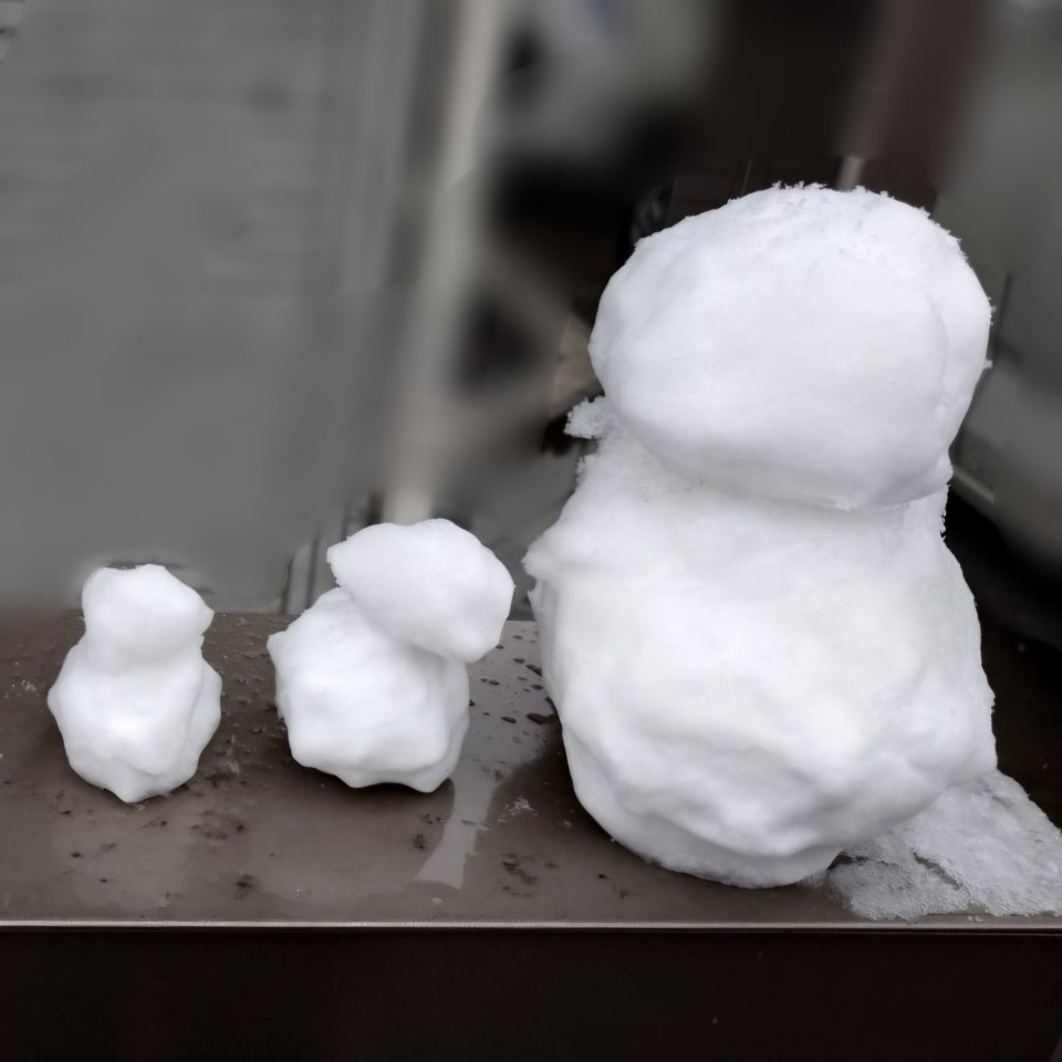 アップロード画像