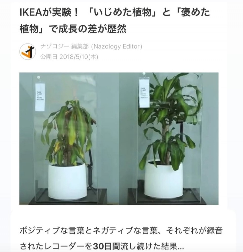 アップロード画像