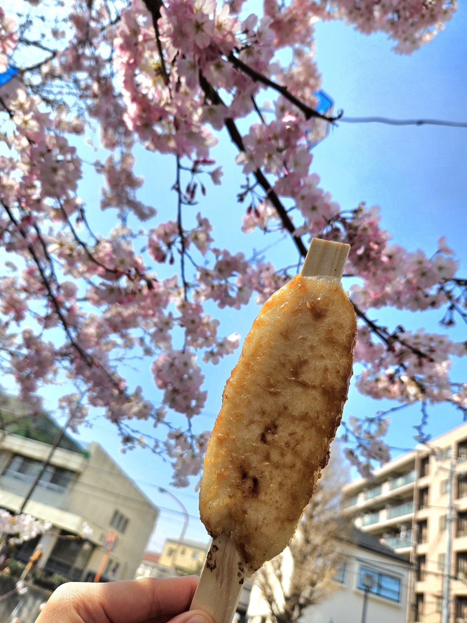 アップロード画像