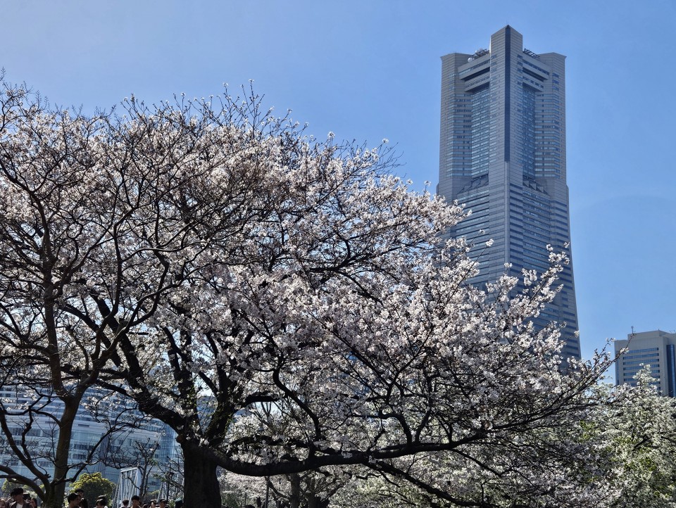 アップロード画像