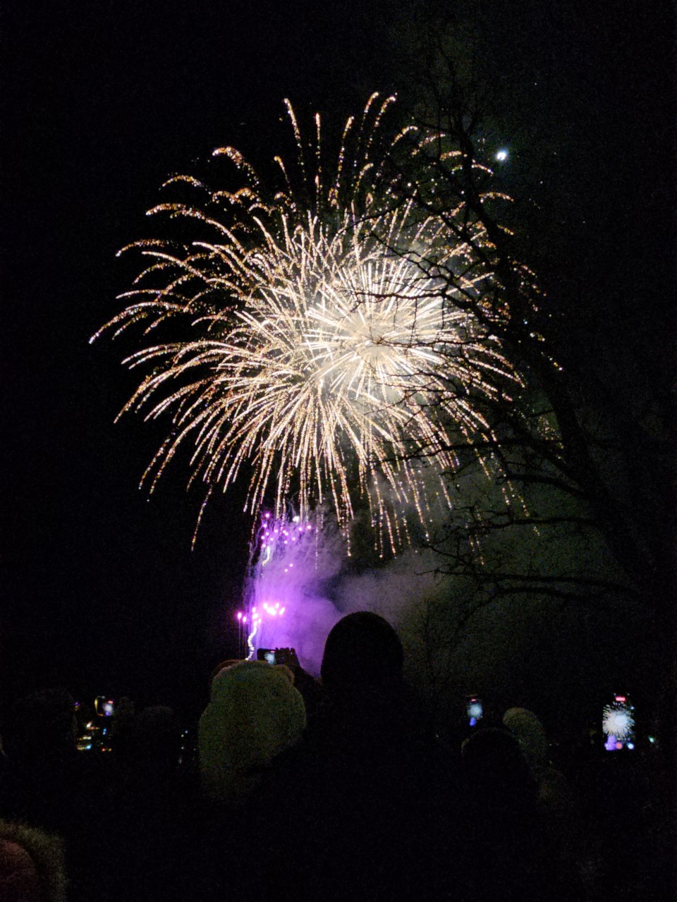 アップロード画像