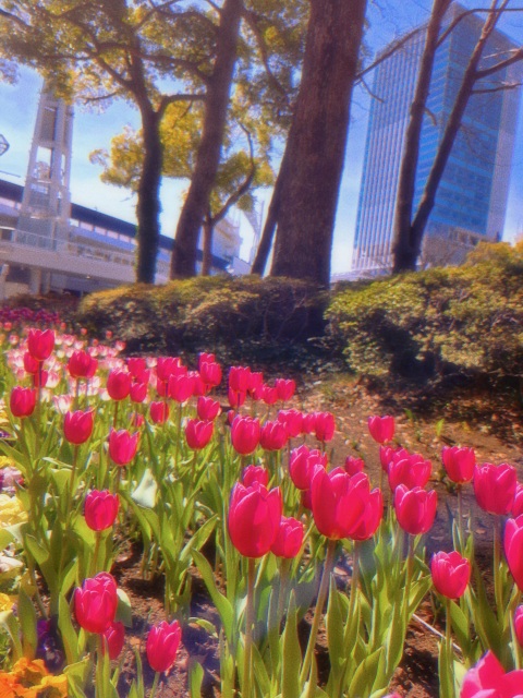 写メ